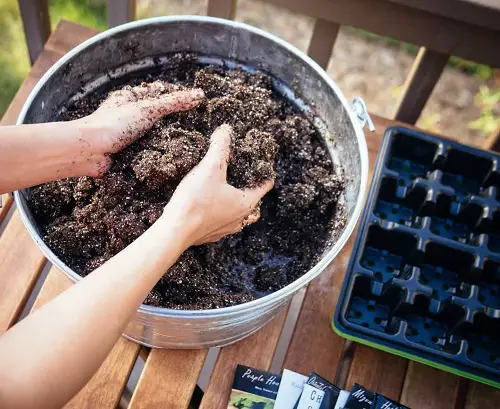 Stupidest Errors Someone Can Make When Starting a Seed