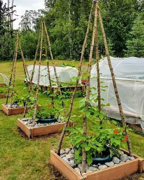Ideas for Potted Plants in garden 6
