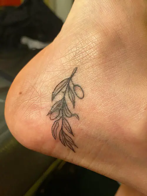 latest olive branch tattoo designs 4