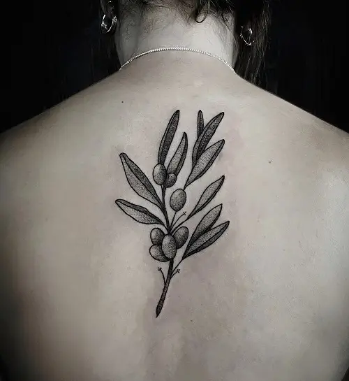 olive branch coverup tattoo 2