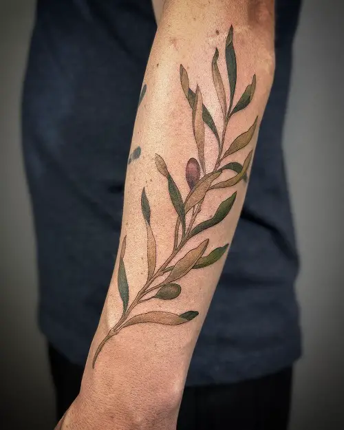 latest olive tattoo design 1