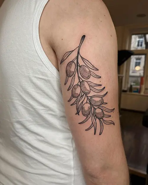 trending olive branch tattoos 5