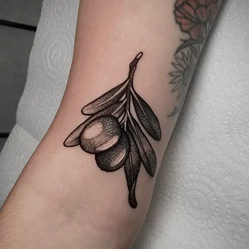 stippled olive branch design