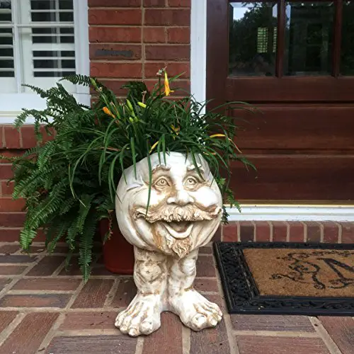 best-plant-puns-plant-jokes-internet
