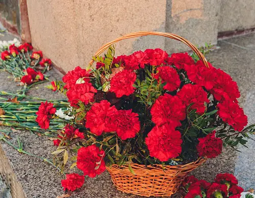 Awesome Flowers for Graves and Cemeteries