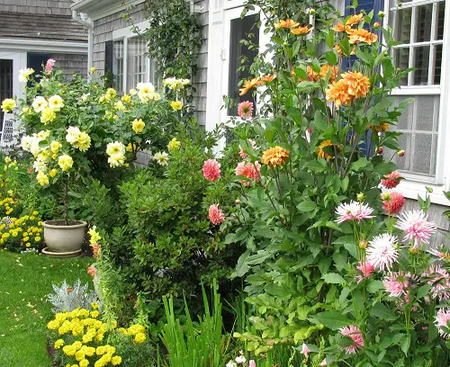 Amp Up Your Home's Curb Appeal by dahillias 