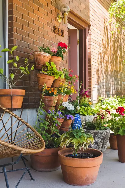 Gardening Tips Every Beginner should try 