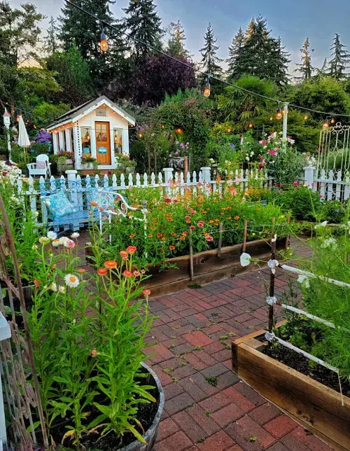Gardening Tips Every Beginner