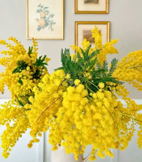 Flowers that Represent Femininity 15