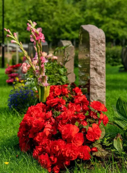 Best Flowers for Graves and Cemeteries