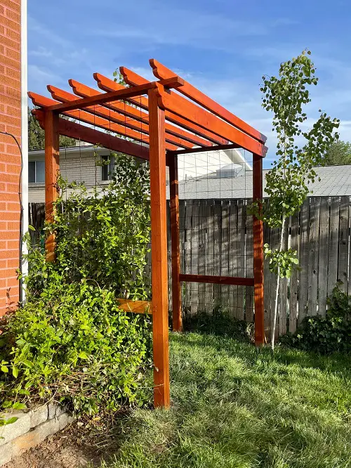 Best honeysuckle trellis ideas 3