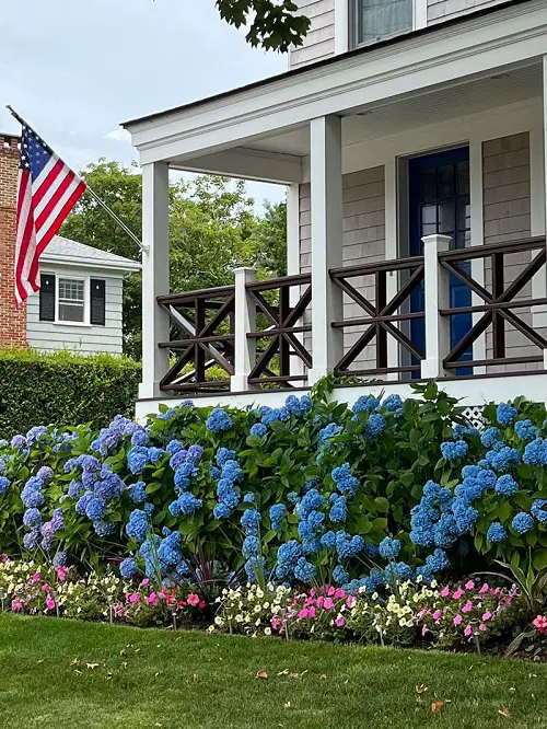 flowers that will make your house stand out