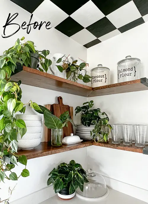 Plant Propagator Ideas to Grow Seeds 5