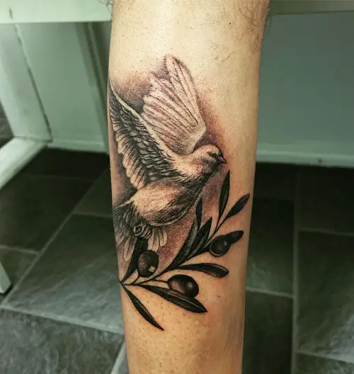 best olive branch tattoos 3