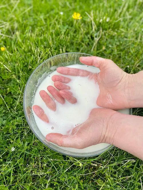 Oat Water for Plants