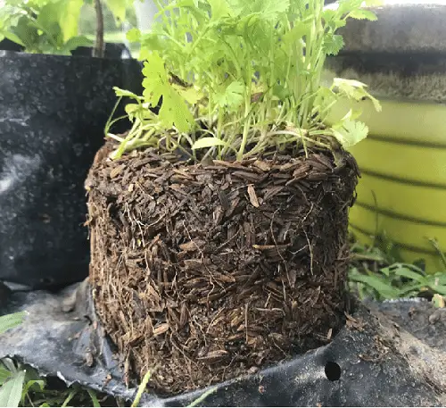 Rice hulls Improves Soil Structure