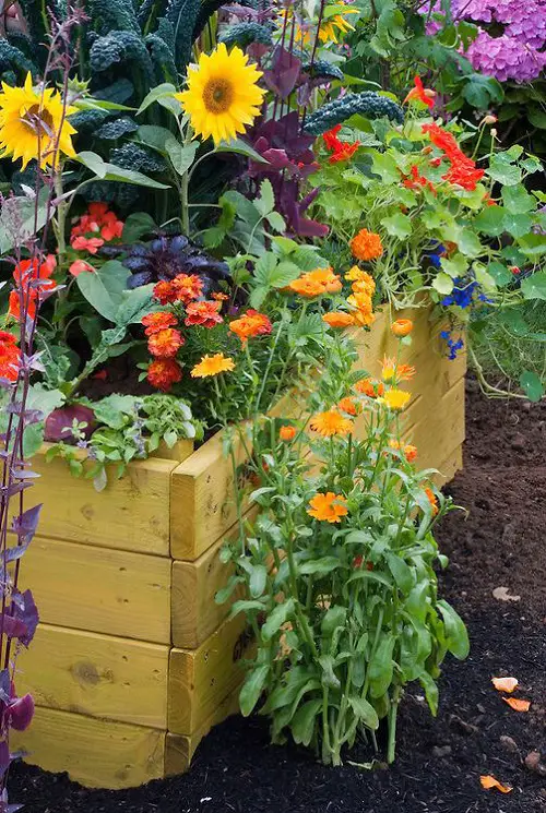 Create a Vegan Garden