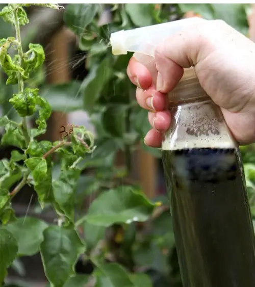 DIY Essential Oil Repellent