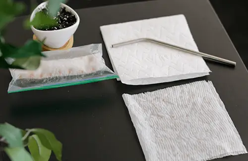 using paper towels for germination