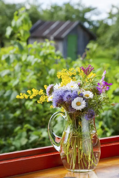 DIY Cut Flower Preservative
