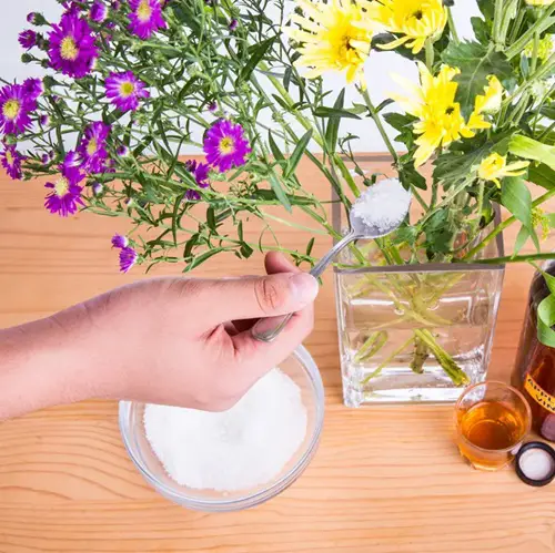 Tricks & Recipes for Lasting Fresh Cut Flowers