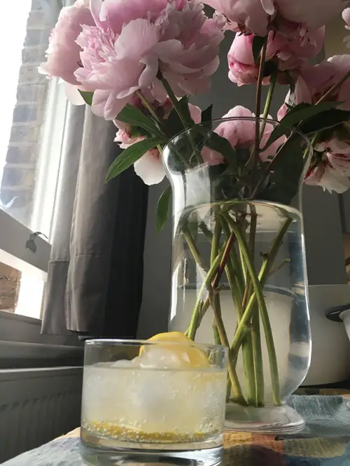 Lemon Lime Soda Mixture