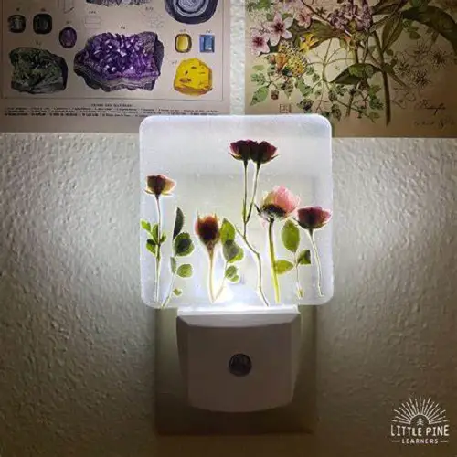 Diy ideas with pressed flowers 5