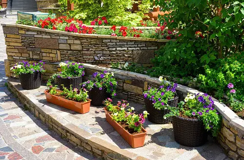 Backyard Landscaping with Pots