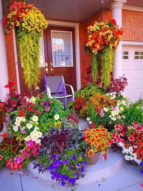 Sun-Soaked Colorful Space