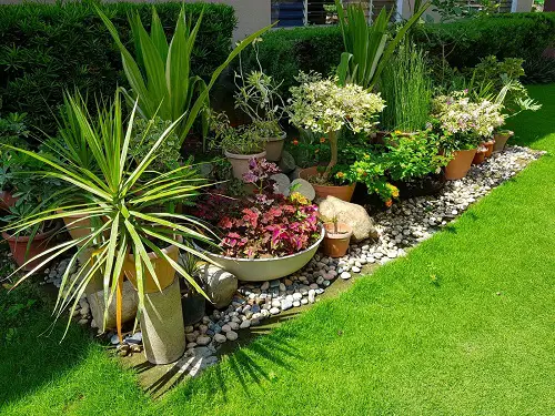 Sun-kissed Mini Rock Garden