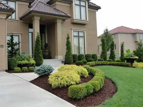 Boxwood Landscaping Ideas for Curb Appeal 5