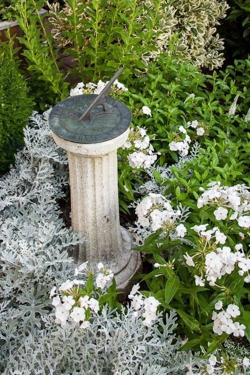 best Dusty Miller garden ideas for landscaping