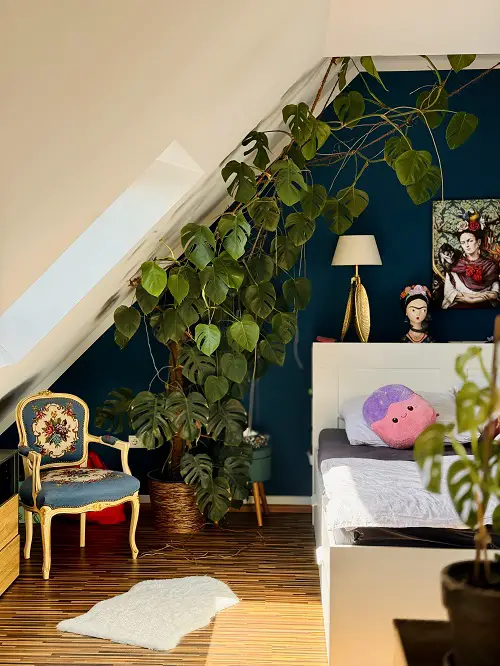Monstera decor indoors