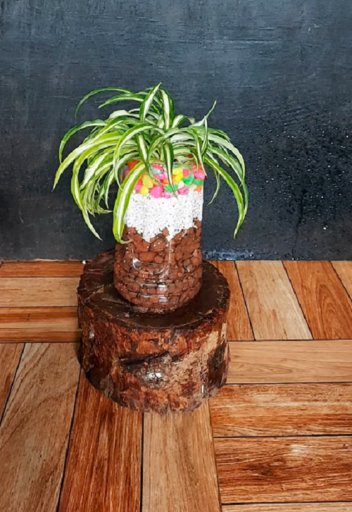 creative DIY for spider plant pot 4