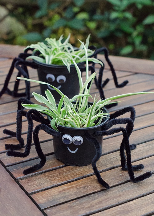 Best DIY Spider Plant Pot Ideas