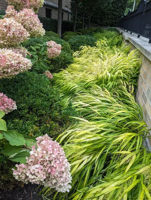 Grasses That Stand Out in Fall and Winter