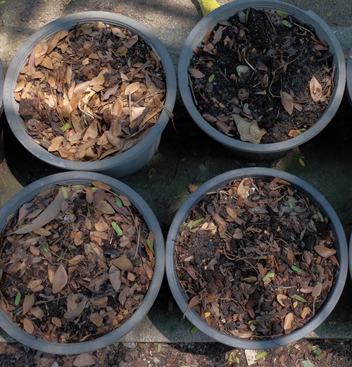 t's a Good Soil Enrichment
