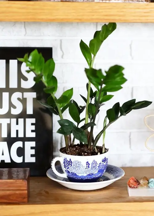 trending teacup planter ideas 5
