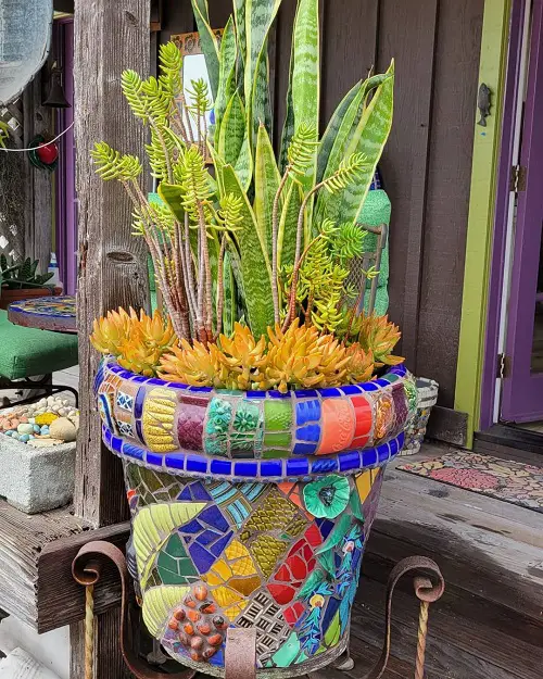 Plants that grow well with snake plant 1
