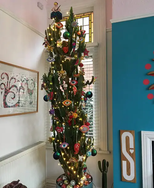 Indoor Plants As Christmas Tree Ideas 4 