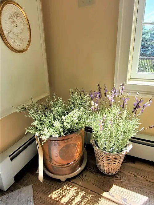 Beautify Your Dull Corners