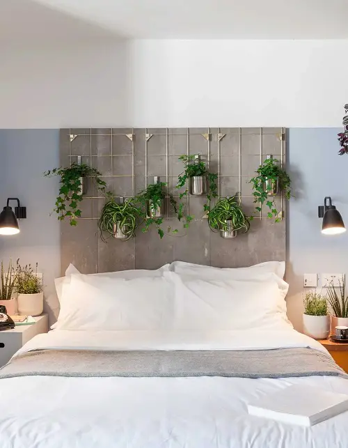 Hanging Plant Display Ideas 16