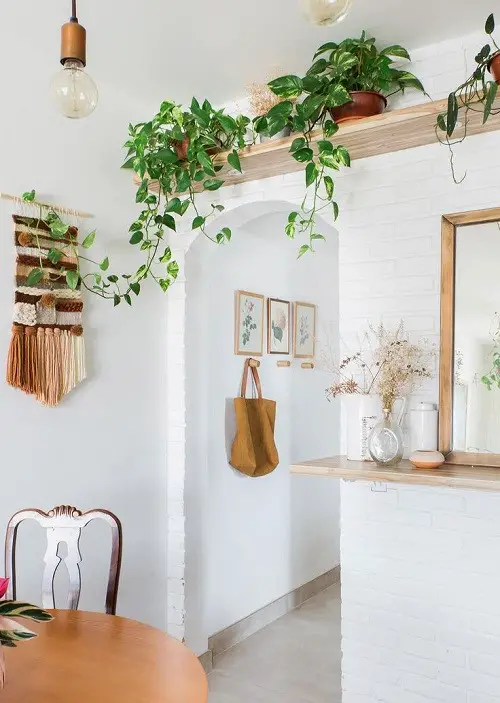 Plants Over The Door Ideas 11