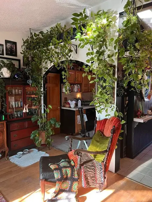 Plants Over The Door Ideas 17