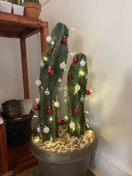 Cactii christmas tree decor