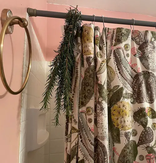 How to use rosemary clippings as a natural air freshener 3