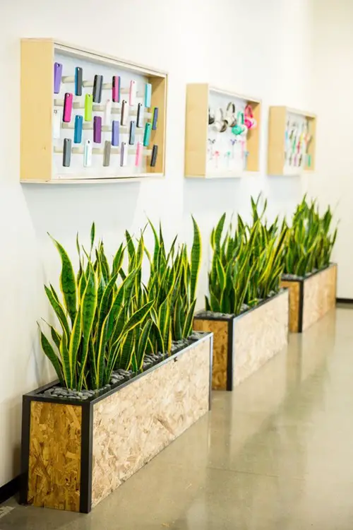 Box Planters in the Living Room