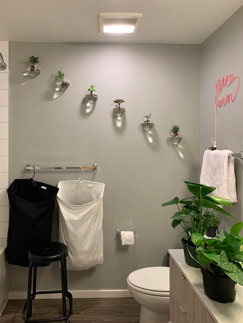 Best Plants in water in bathroom ideas 4
