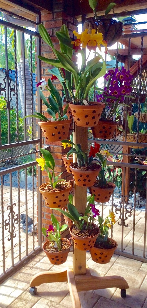 Stunning Orchid Tower in garden 