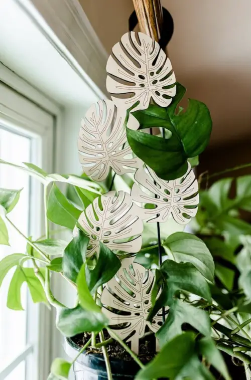 DIY Indoor Trellis Ideas 3